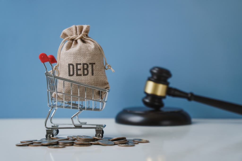 Debt. Money bag and shopping trolley with the hammer of the judge. Concept of financial crisis.